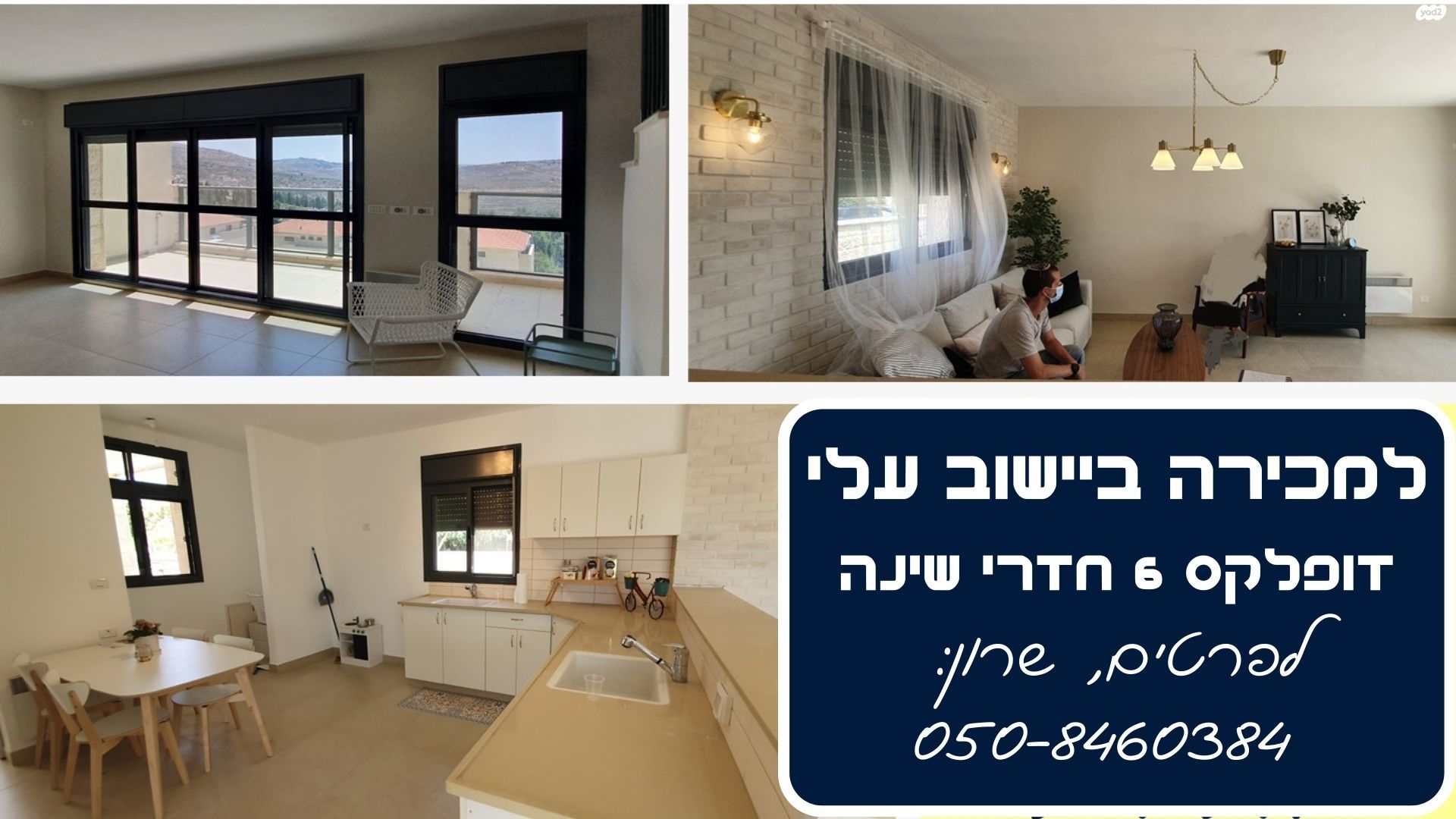 האורן 16