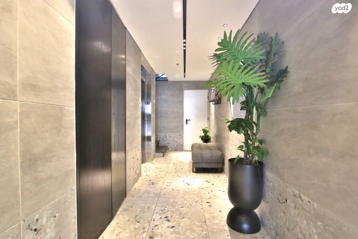 דירה, הדקלים, קרית אתא