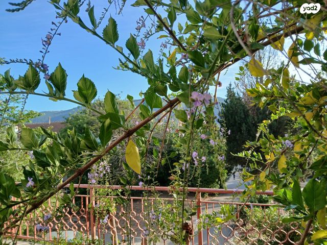 בית פרטי/ קוטג', הפועל המזרחי, כפר חסידים ב', כפר חסידים ב'