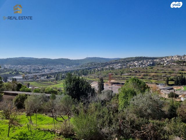 מגרשים