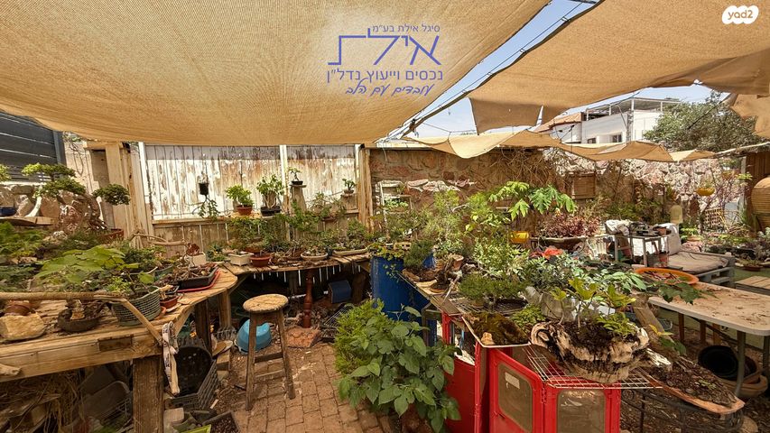 בית פרטי/ קוטג', אילת