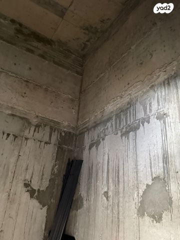 דירת גן, הקלעים, בת גלים, חיפה