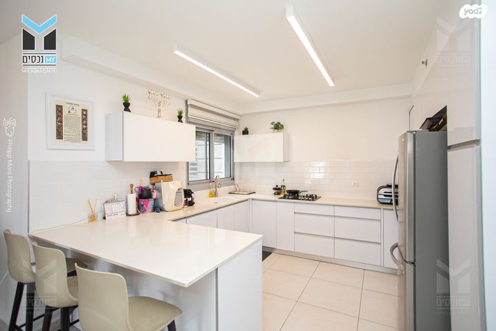 דירה, השחף, החותרים, טירת כרמל