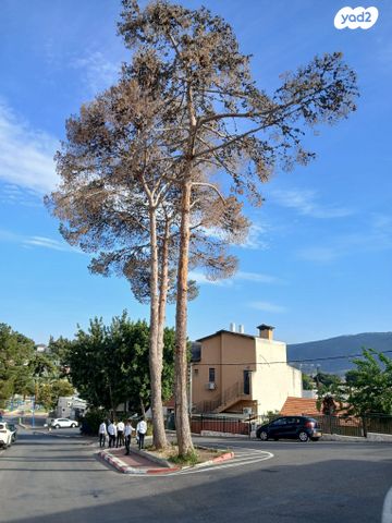 דו משפחתי, רכסים, רכסים