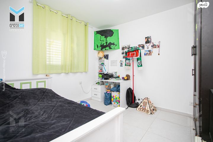 דירה, השחף, החותרים, טירת כרמל