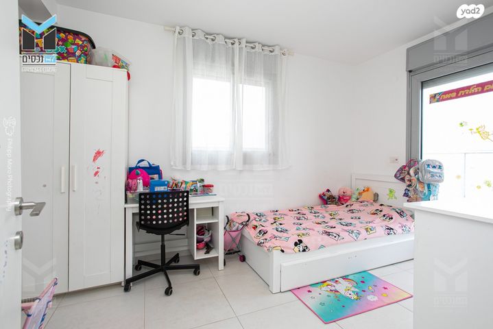 דירה, השחף, החותרים, טירת כרמל