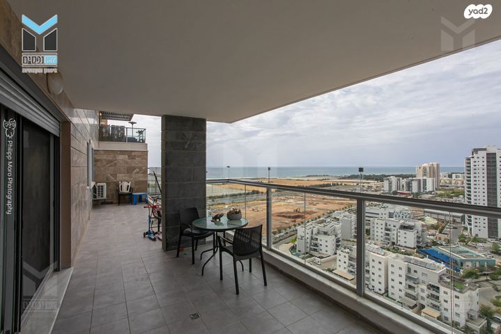 דירה, השחף, החותרים, טירת כרמל