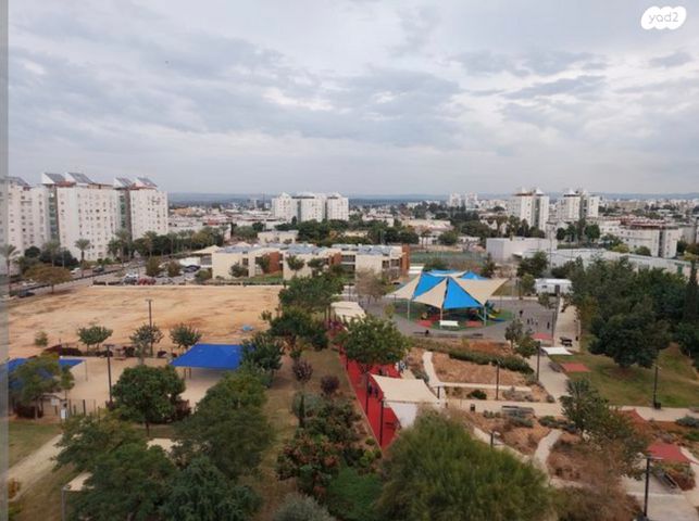 חללי אגוז 