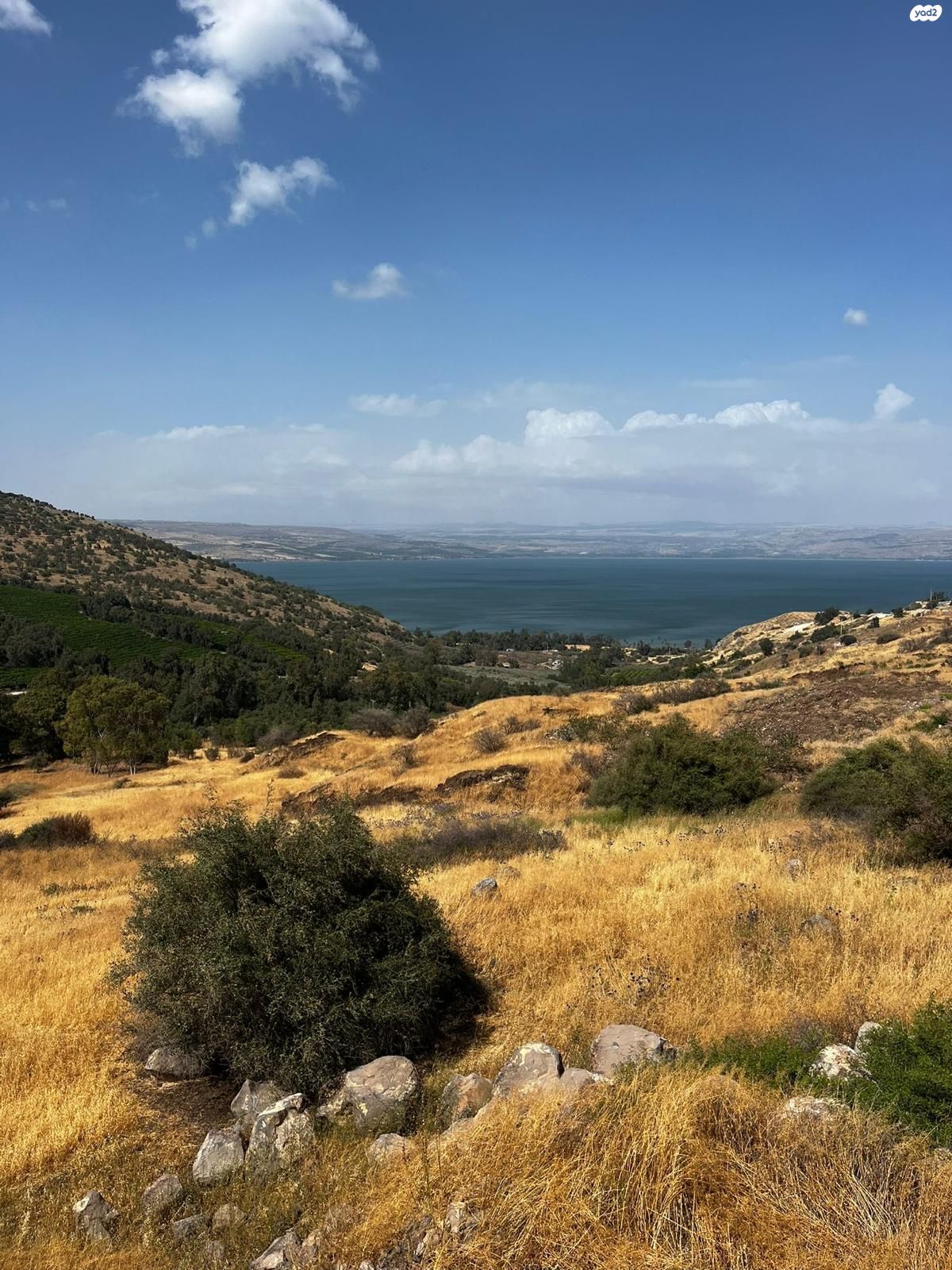 השומר 1