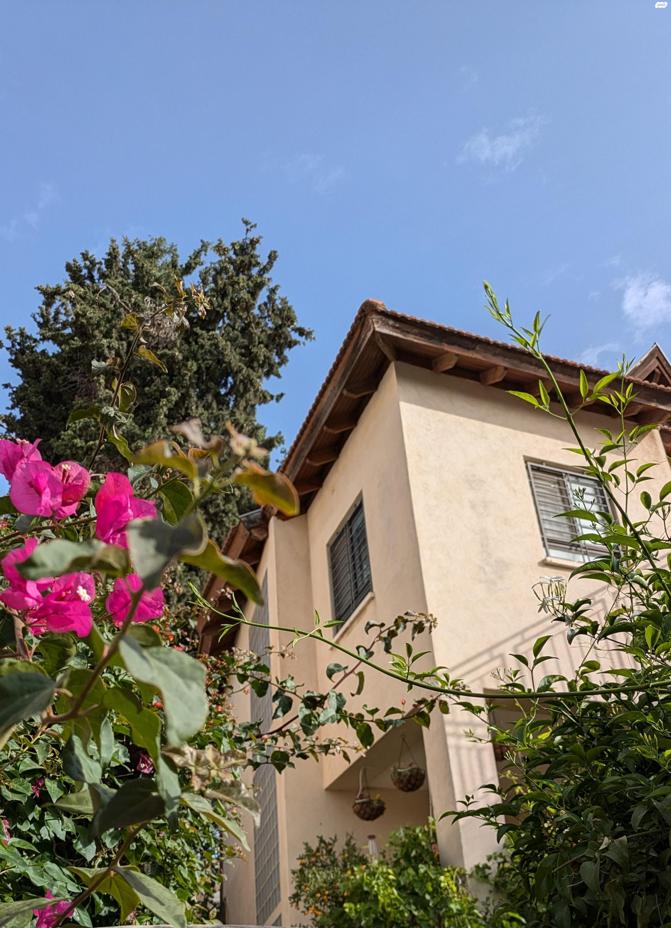 יצחק מ. בודנהיימר 2