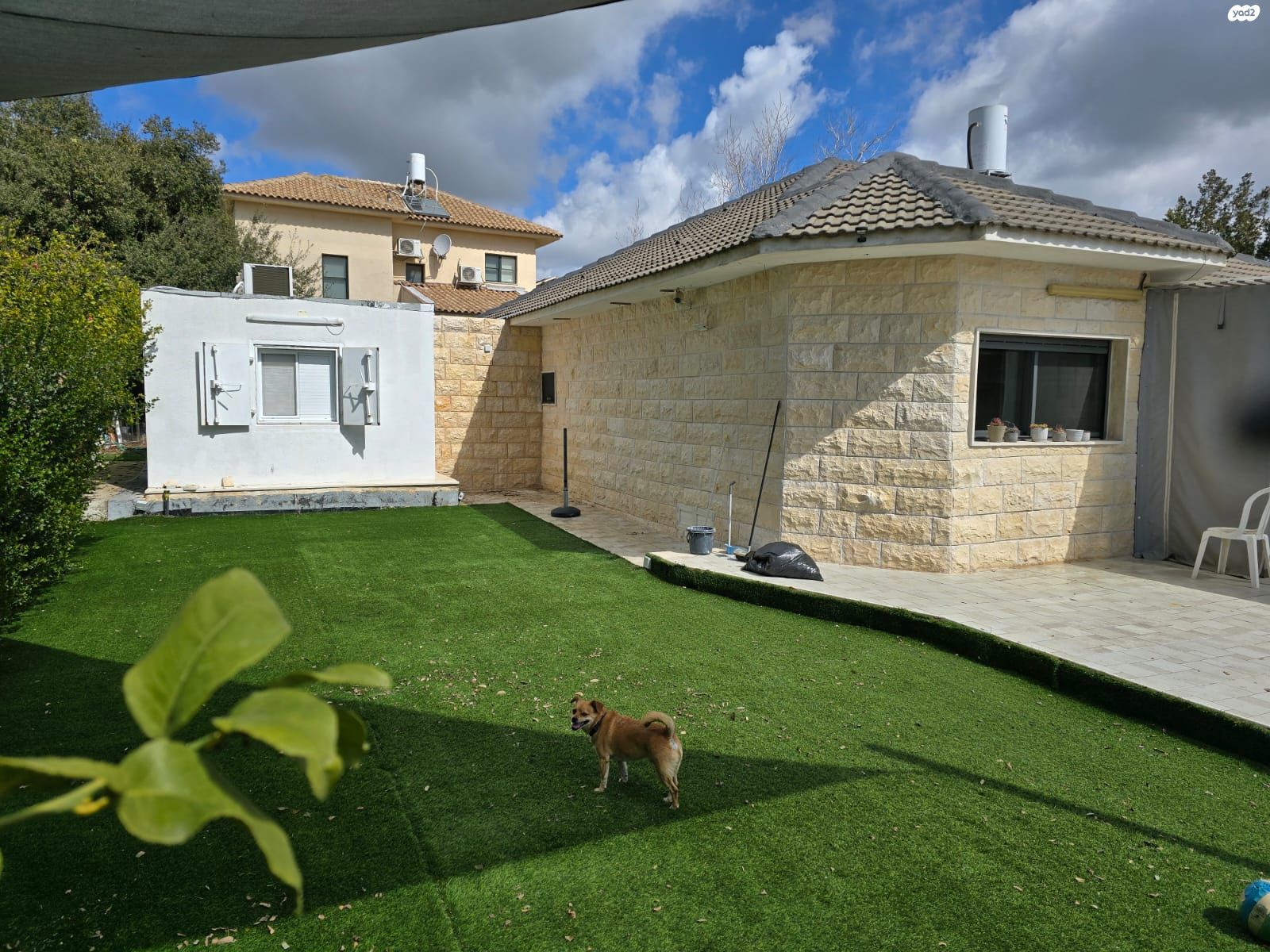 הגפן 331