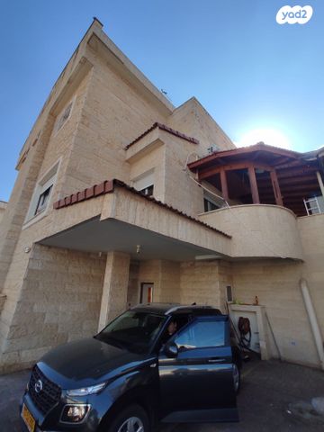חרצית 10