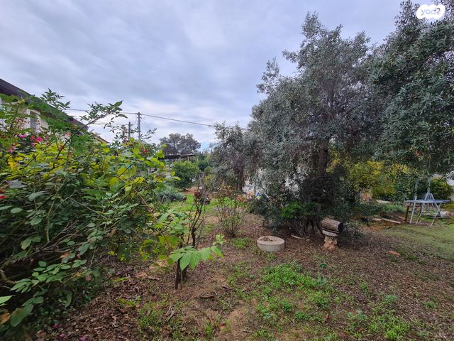 בית פרטי/ קוטג', הירדן, חבצלת, רחובות