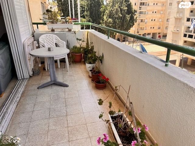 דירה, הרצליה