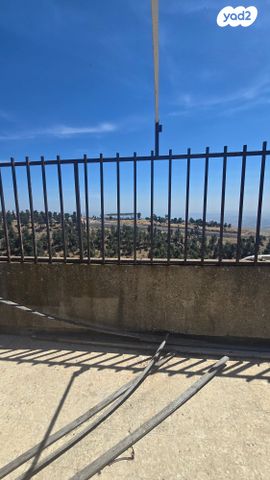 דירה, הרב לוי ביסטריצקי, בן גוריון כנען, צפת