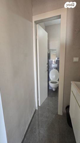 דירה, הרב לוי ביסטריצקי, בן גוריון כנען, צפת