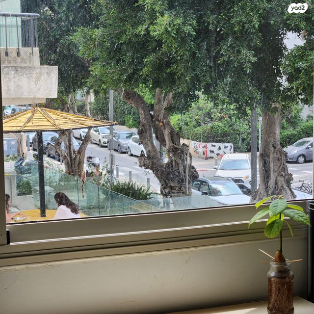 דירה, דב הוז, הצפון הישן - דרום, תל אביב יפו