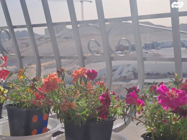 דירה, רבי חנינא, נתיבות ישראל / רמת בית שמש ד-4, בית שמש