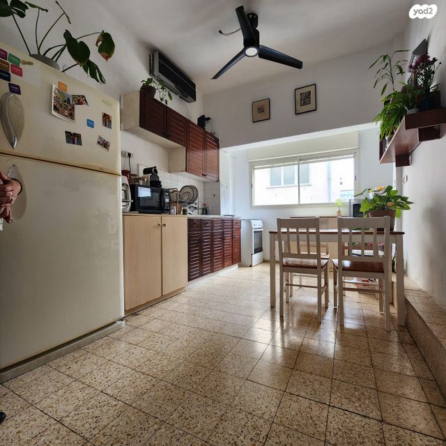 דירה, דב הוז, הצפון הישן - דרום, תל אביב יפו