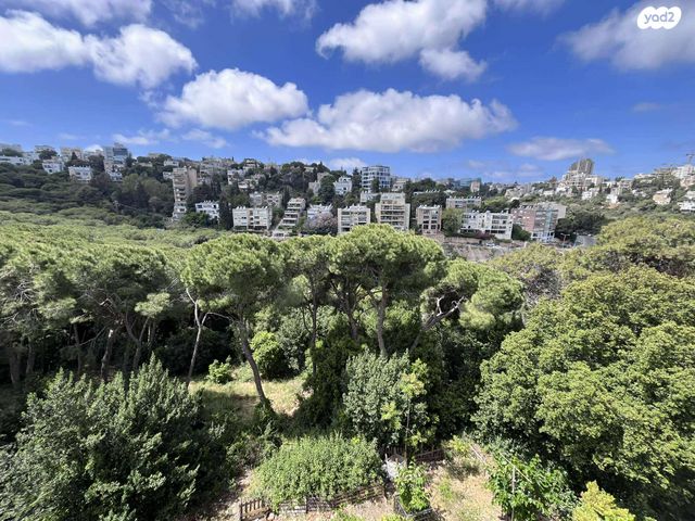 דירה, נעמ"ת, חיפה