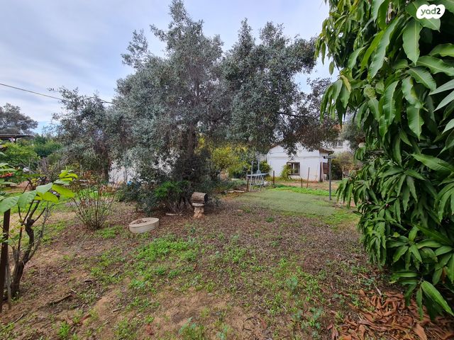 בית פרטי/ קוטג', הירדן, חבצלת, רחובות