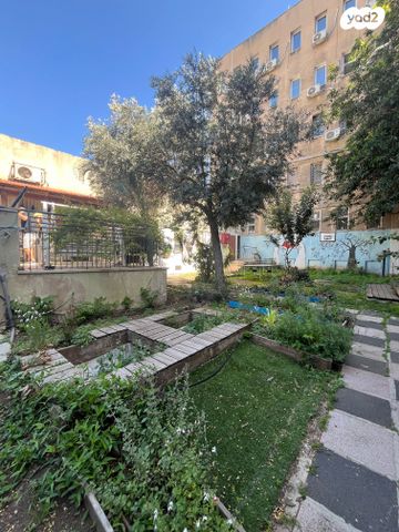 משרדים, דבורה, שוק תלפיות, חיפה