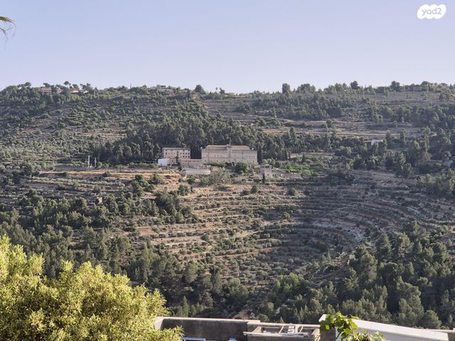 רפאל דה לה פרגולה 6