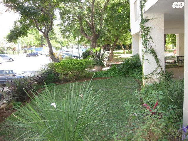 דירה, תכנית ל', למד, תל אביב יפו