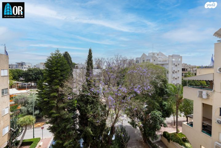 דירה, אליהו גלזר, א' / צפון מזרח העיר, רחובות