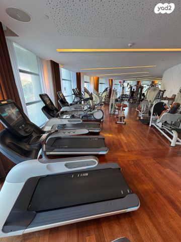 דירה, תל אביב יפו