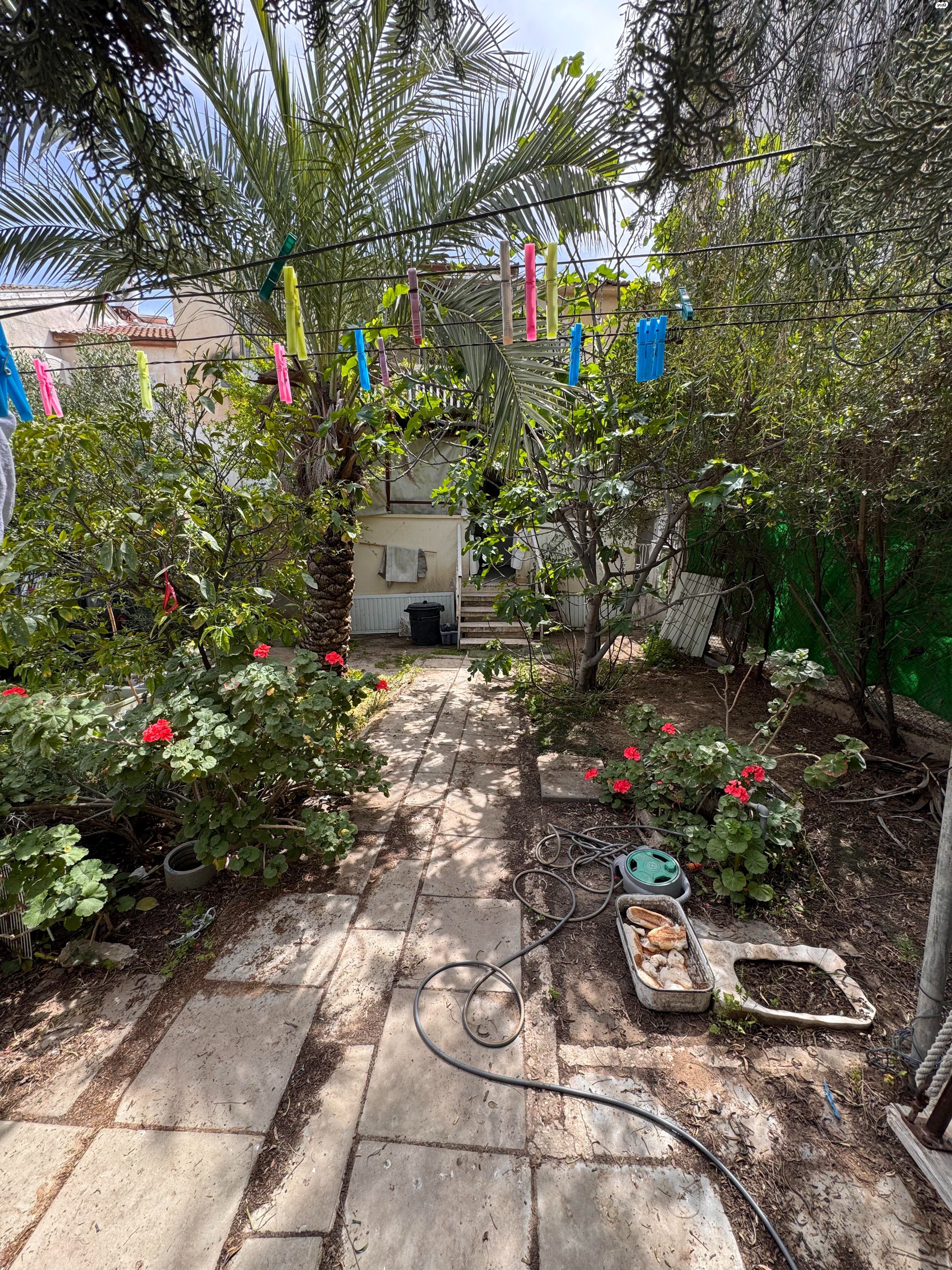 דירת גן