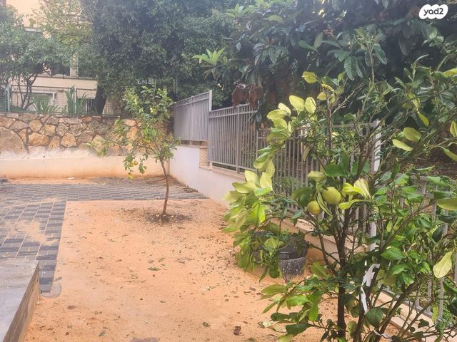 דירת גן, רחל, כרמליה, חיפה