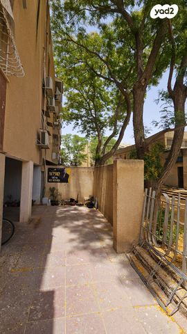 דירת גן, ערד