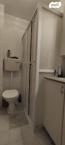 דירה, עיינות, ערד