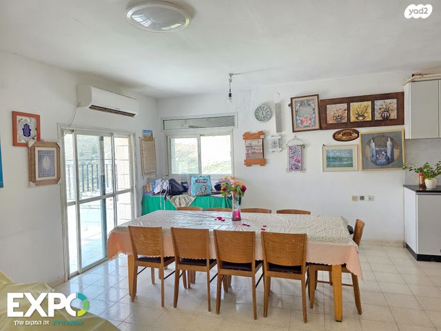 שניר 1
