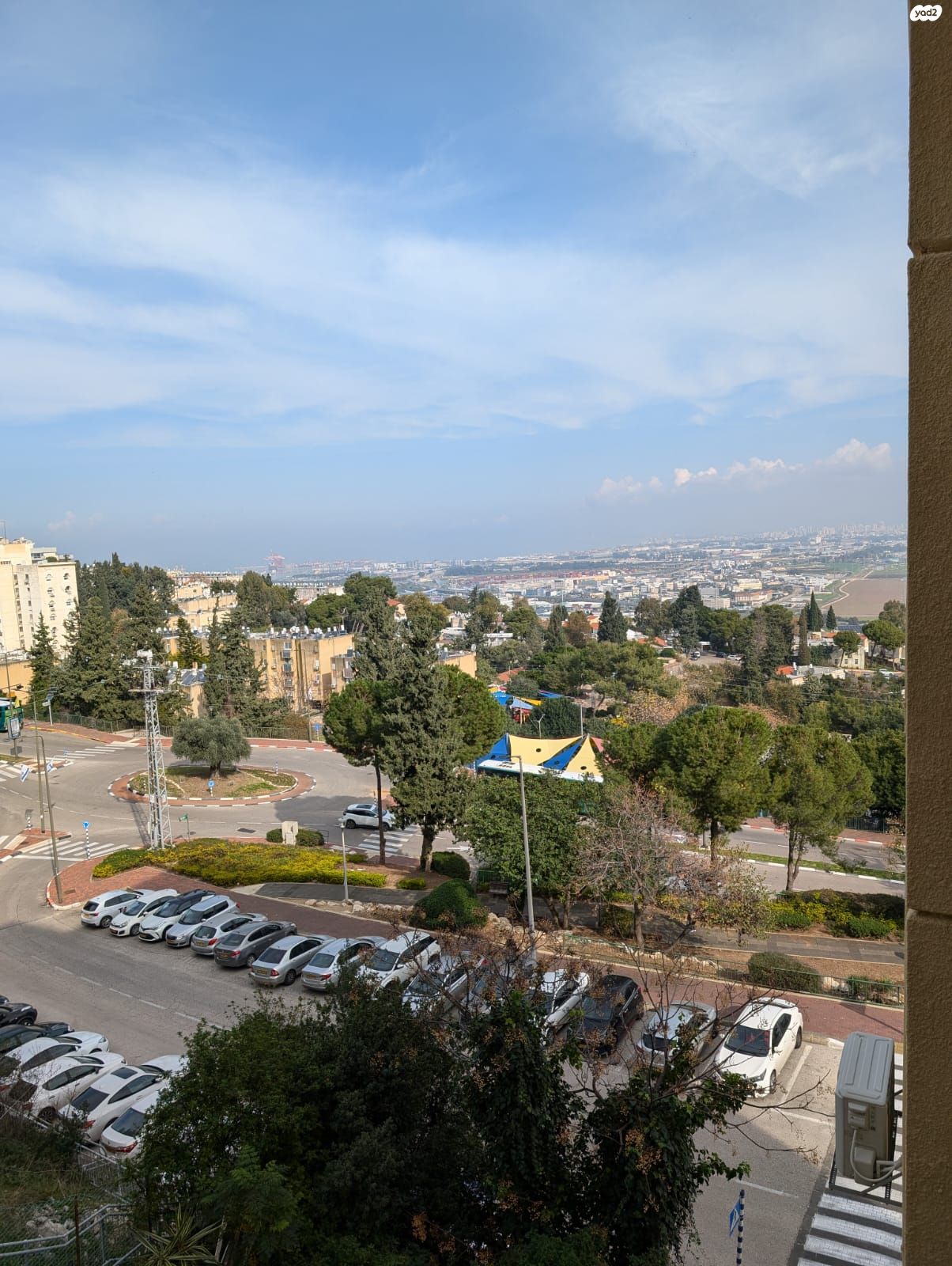 חבצלת 