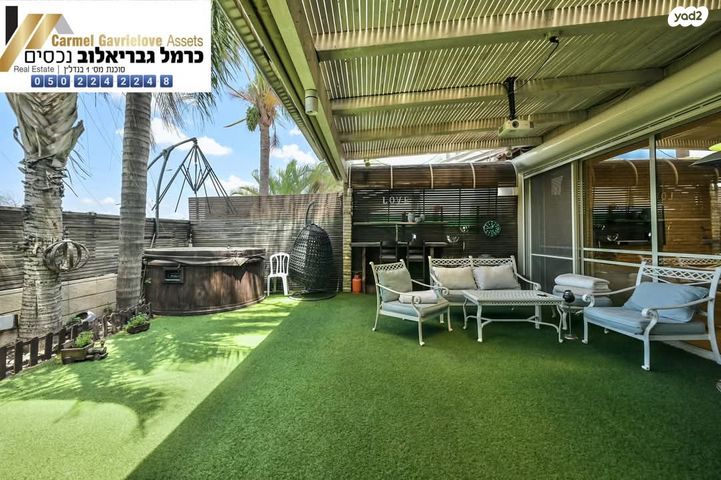 אורן 