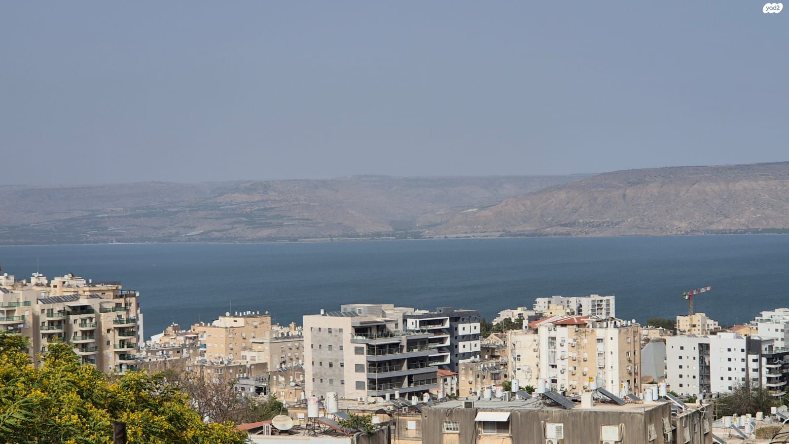השופטים 
