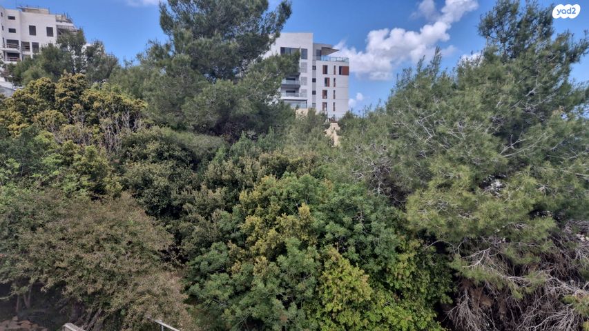 גג/ פנטהאוז, רמת אלמוגי, חיפה