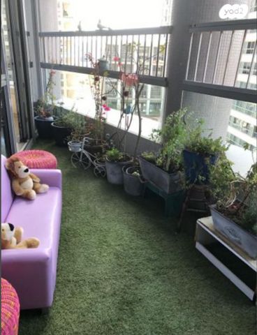 דירה, תל אביב יפו