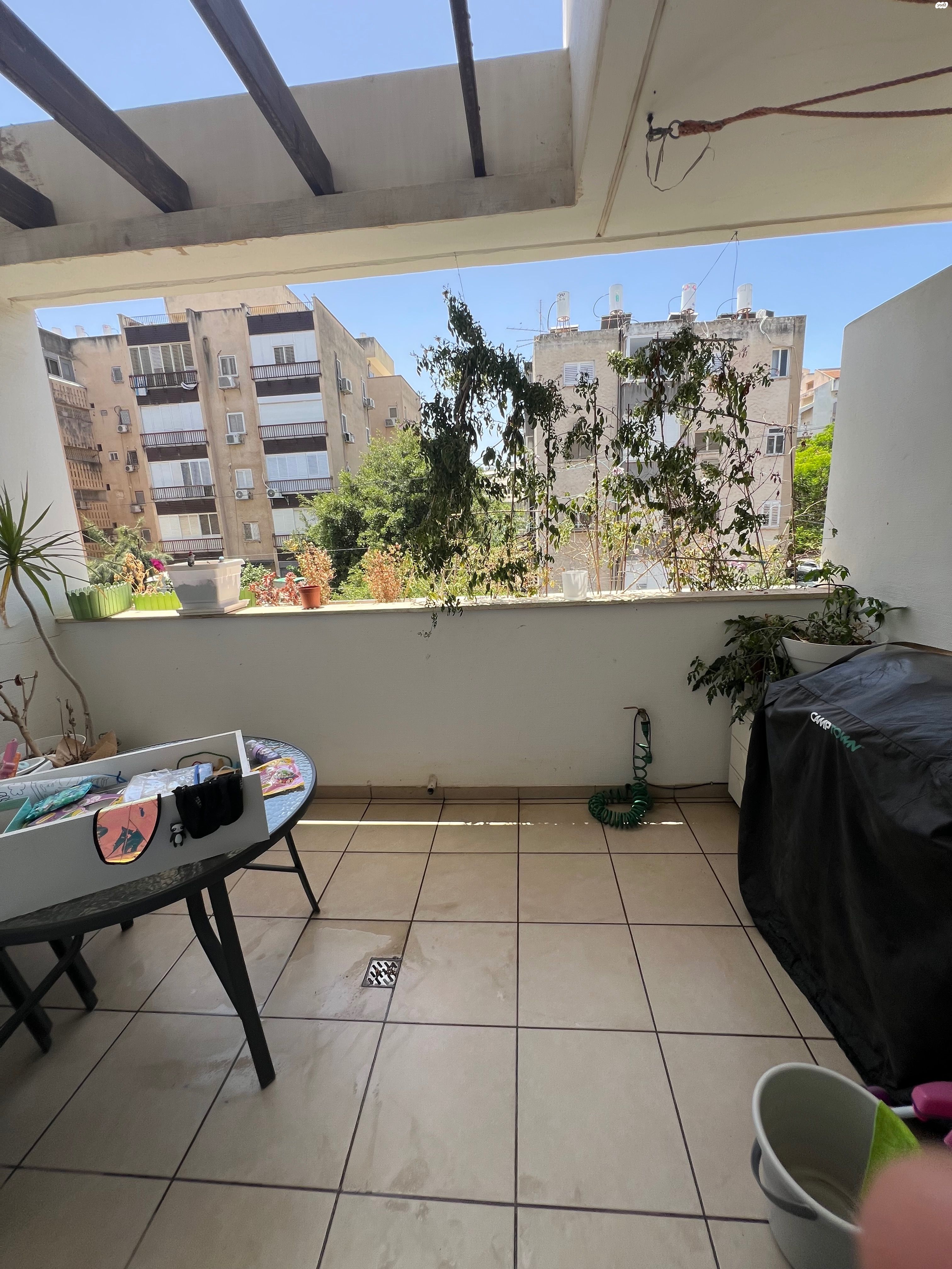 רופין 
