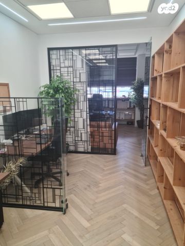 נפתלי פלטין 1