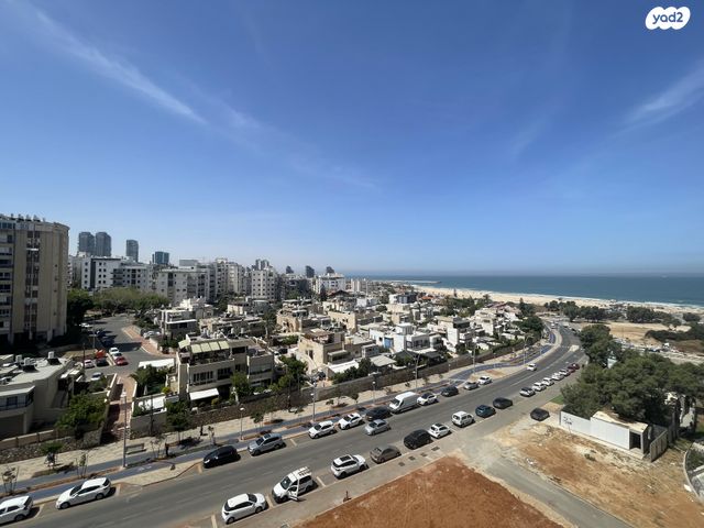 הדקל 5