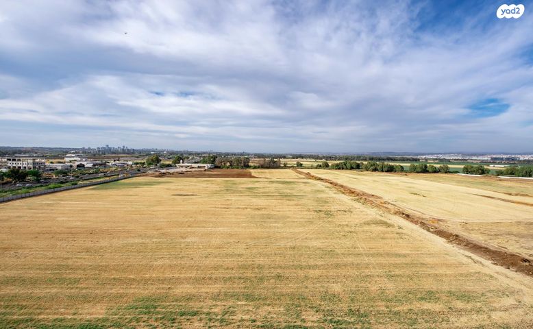 דירה, שמעון ויזנטל, משכנות גנים, פתח תקווה