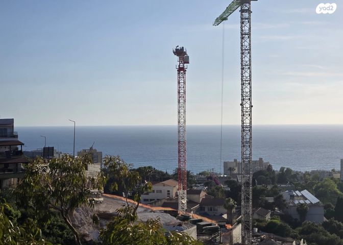 דוד בר רב האי 