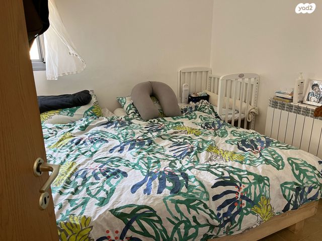 דירה, זית שמן, אפרת