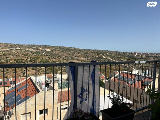 דירה, זית שמן, אפרת