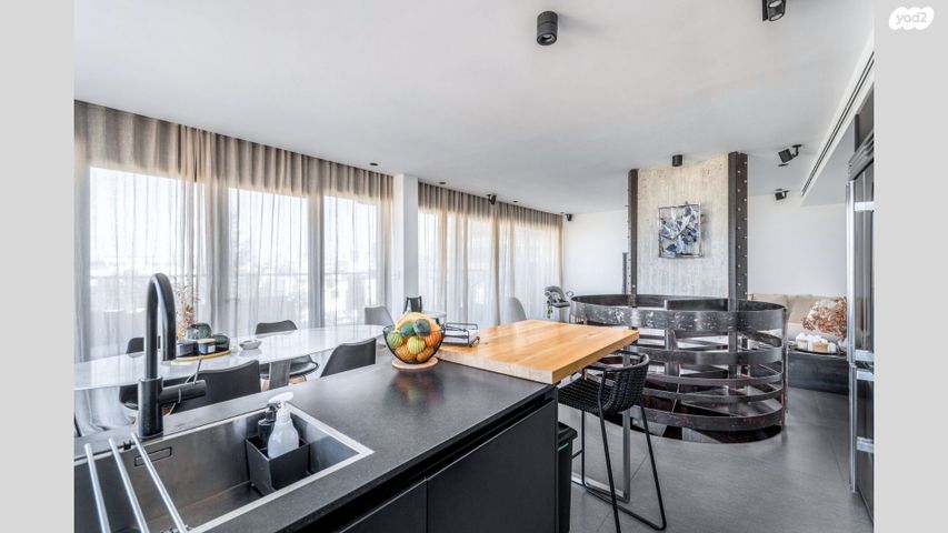 גג/ פנטהאוז, שיינקין, לב תל אביב, לב העיר צפון, תל אביב יפו