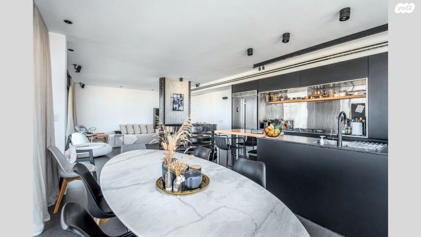 גג/ פנטהאוז, שיינקין, לב תל אביב, לב העיר צפון, תל אביב יפו