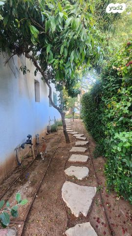 בית פרטי/ קוטג', אשל 7, אבן גבירול, רחובות